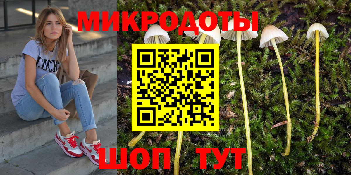 Королёв  Псилоцибиновые грибы мухоморы  Галлюциногенные грибы прущие грибы  Вход с VPN 